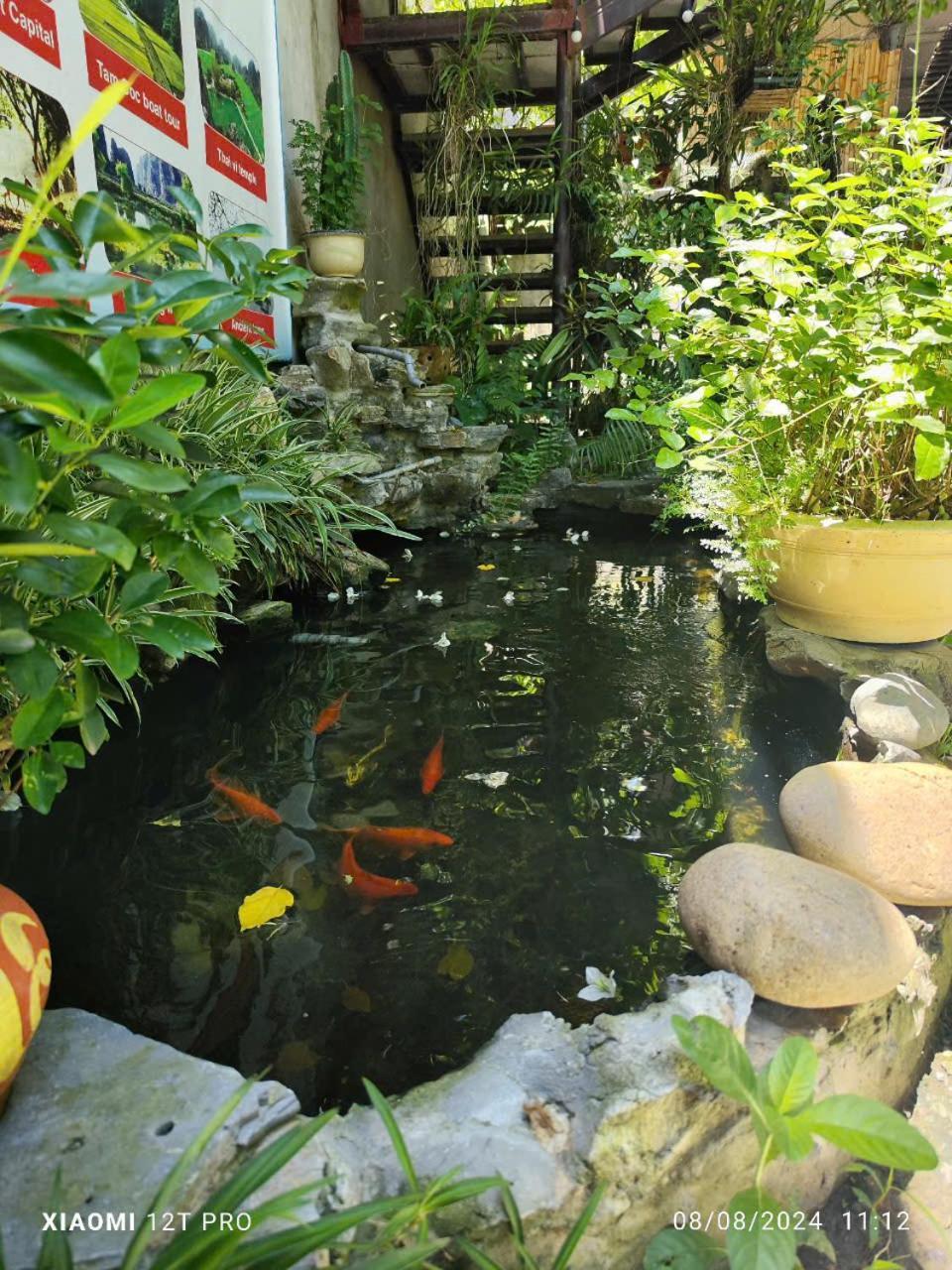 Trang An Central Homestay 宁平 外观 照片